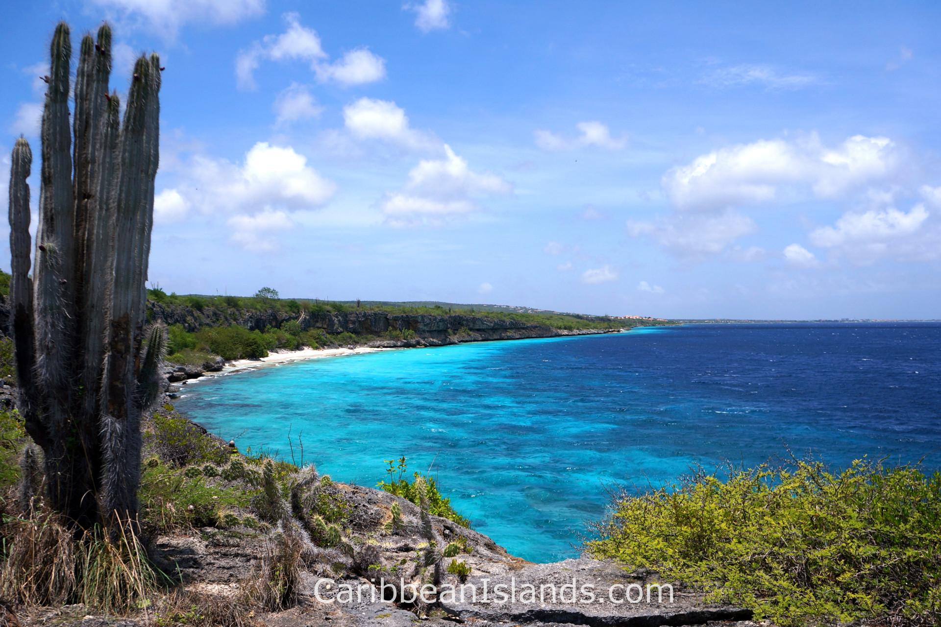 Bonaire, Caribbean