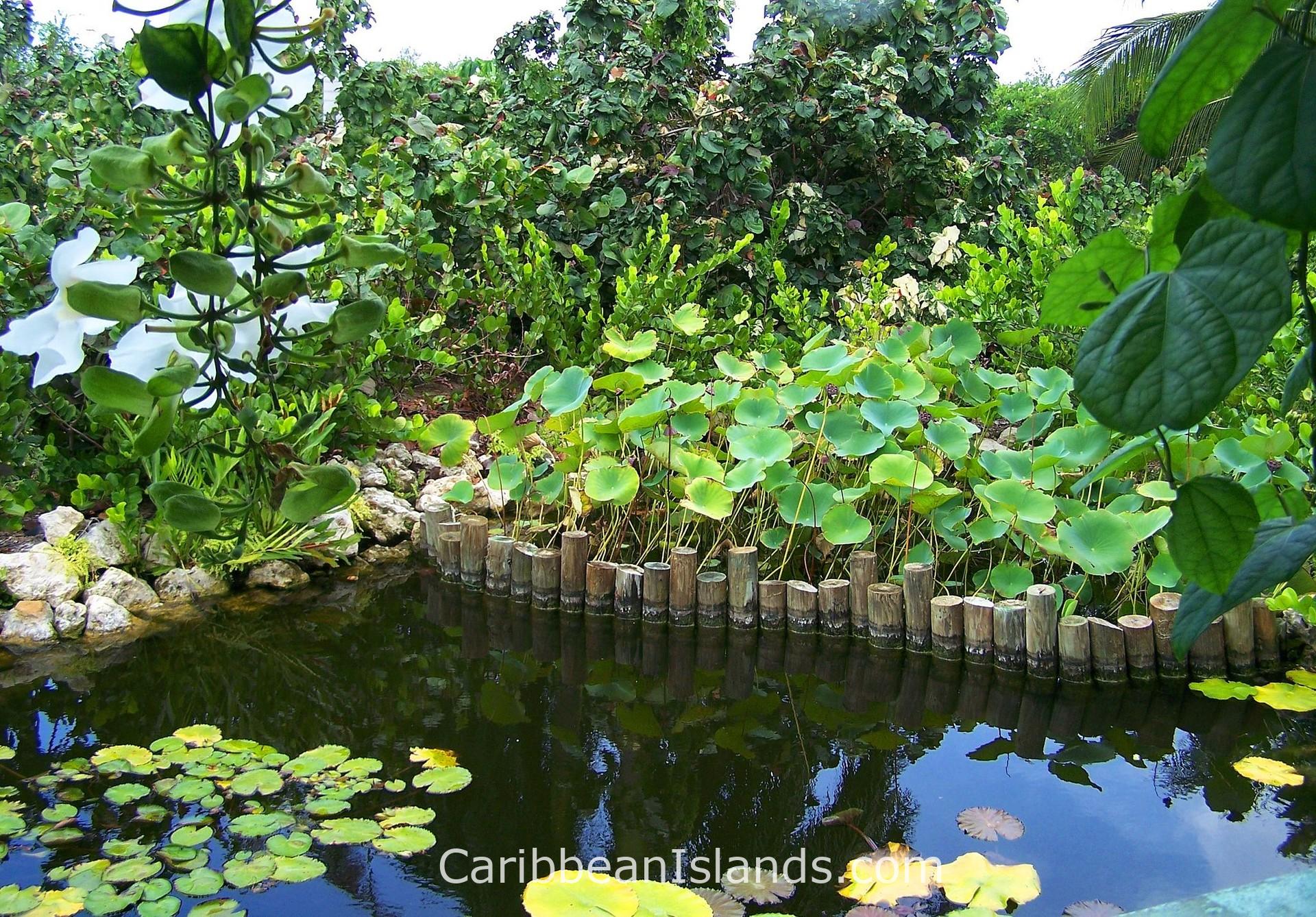 Queen Elizabeth II Botanic Park