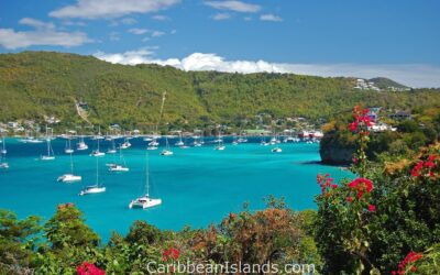 Saint Vincent & Grenadinerna