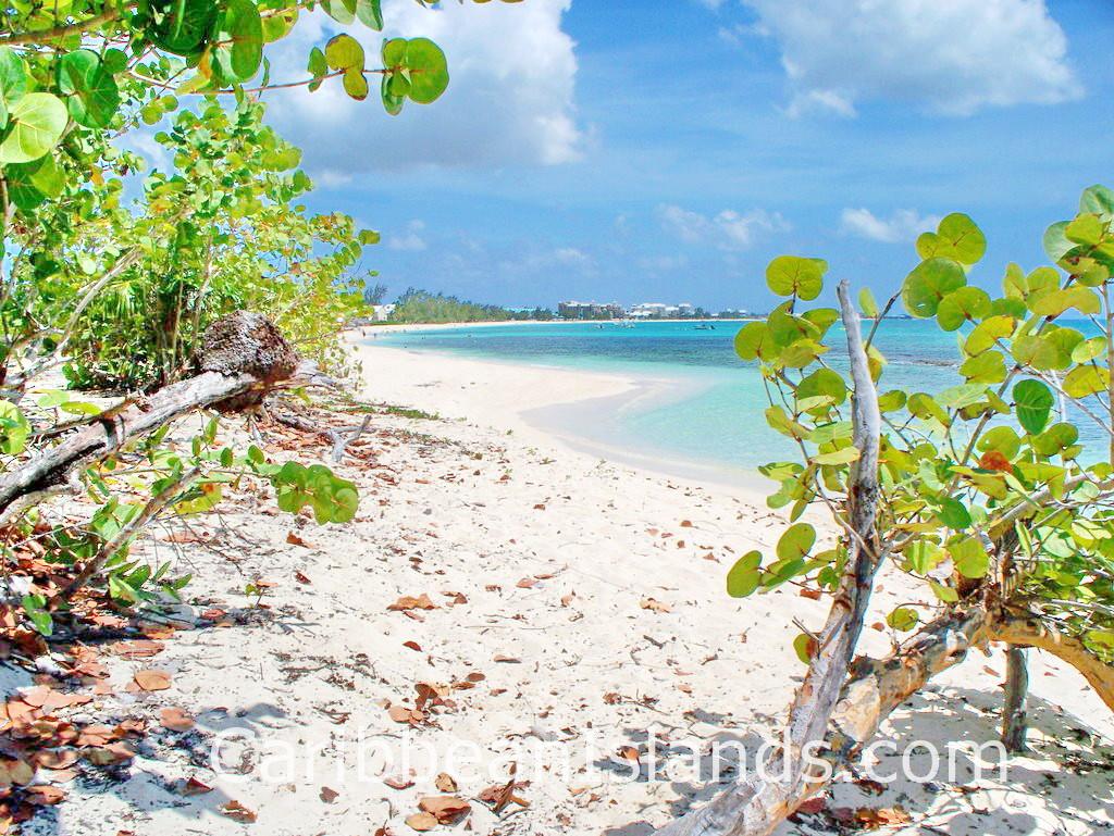 Seven Mile Beach, Grand Cayman (by Ken Badgley)